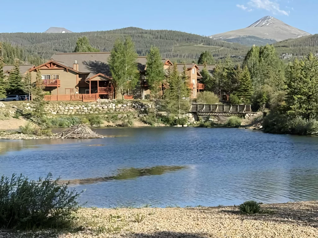 Creek with rocks and flowing water — learning to see creativity in small details and everyday moments.